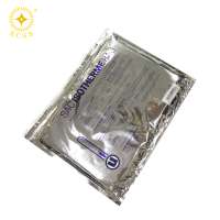 Wholesale High Quality Isothermal Foil Foam Ziplock bag